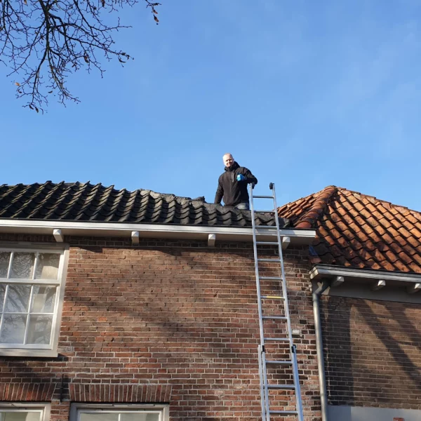 nokvorsten vastzetten Kampen